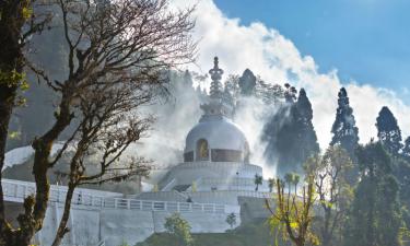 Hotel Thimphu Le Medine- Hotels In Thimphu