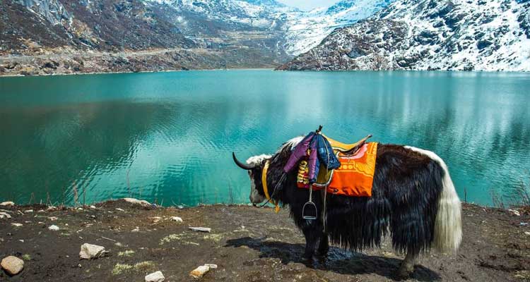 Bhutan Tour Package- Teem Travels Bhutan